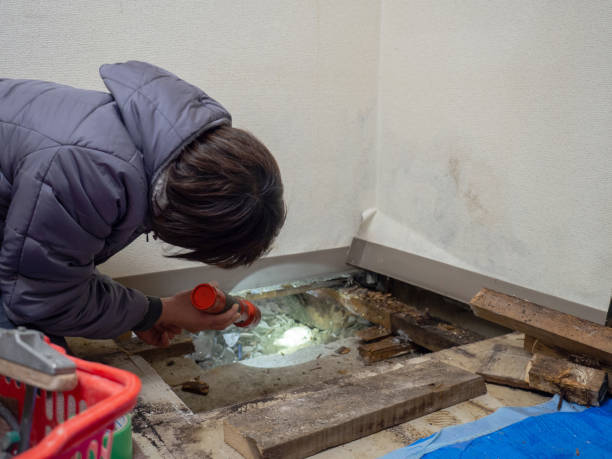 Best Biohazard Mold Removal  in Wakefield, MI