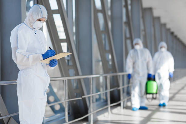 Best Post-Construction Mold Inspection  in Wakefield, MI