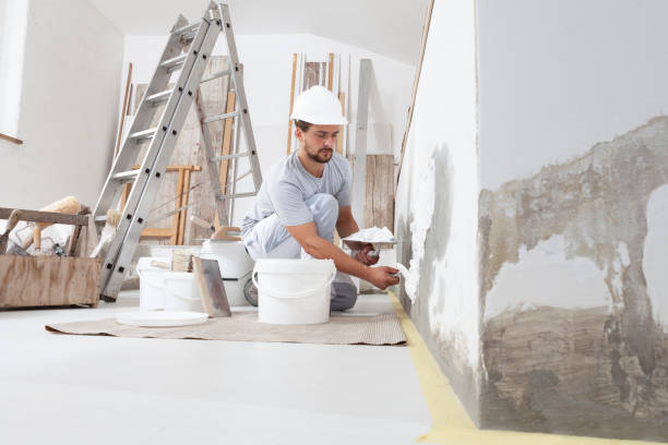 Best Mold Damage Restoration  in Wakefield, MI
