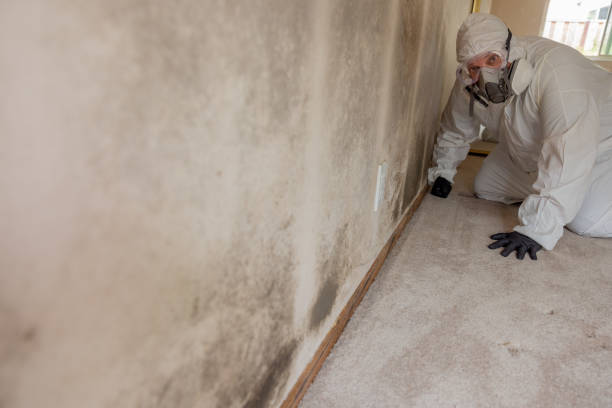 Best Forensic Mold Investigation  in Wakefield, MI